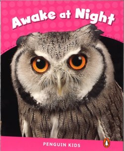 画像1: 【Pearson English Kids Readers】Awake at Night