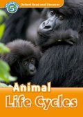 Read and Discover Level 5 Animals Life Cycles MP3 Pack