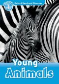 Read and Discover Level 1 Young Animals 