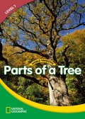 WW Level 1-Science: Parts of a Tree