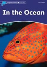 Dolphin Level 4: In the Ocean