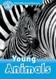 画像: Read and Discover Level 1 Young Animals