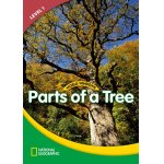 画像: WW Level 1-Science: Parts of a Tree