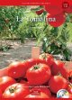 画像: Culture Readers:Holidays Level 1: La Tomatina