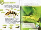 画像: Oxford Read and Discover レベル３　Amazing Minibeasts